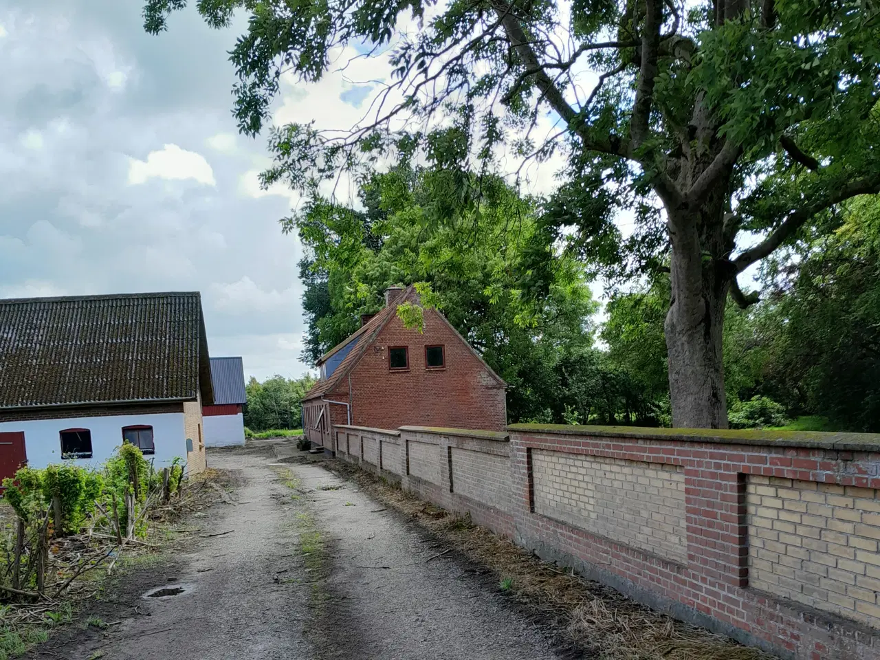 Billede 1 - Fritidslandbrug ved  Hjørring/Lørslev med 5,6  ha.