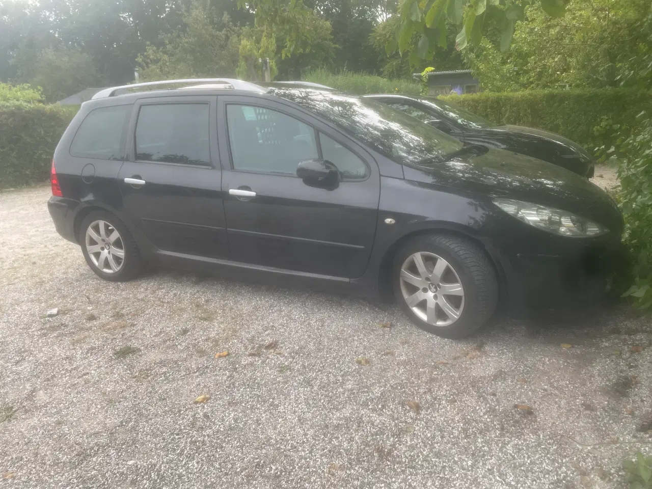Billede 2 - Peugeot 307 airvan partikel filter 