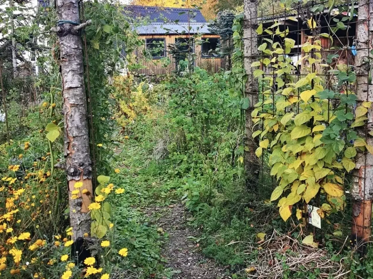 Billede 5 - Unikt mødelokale i naturskønne områder – ideelt til erhvervsmøder og netværksarrangementer