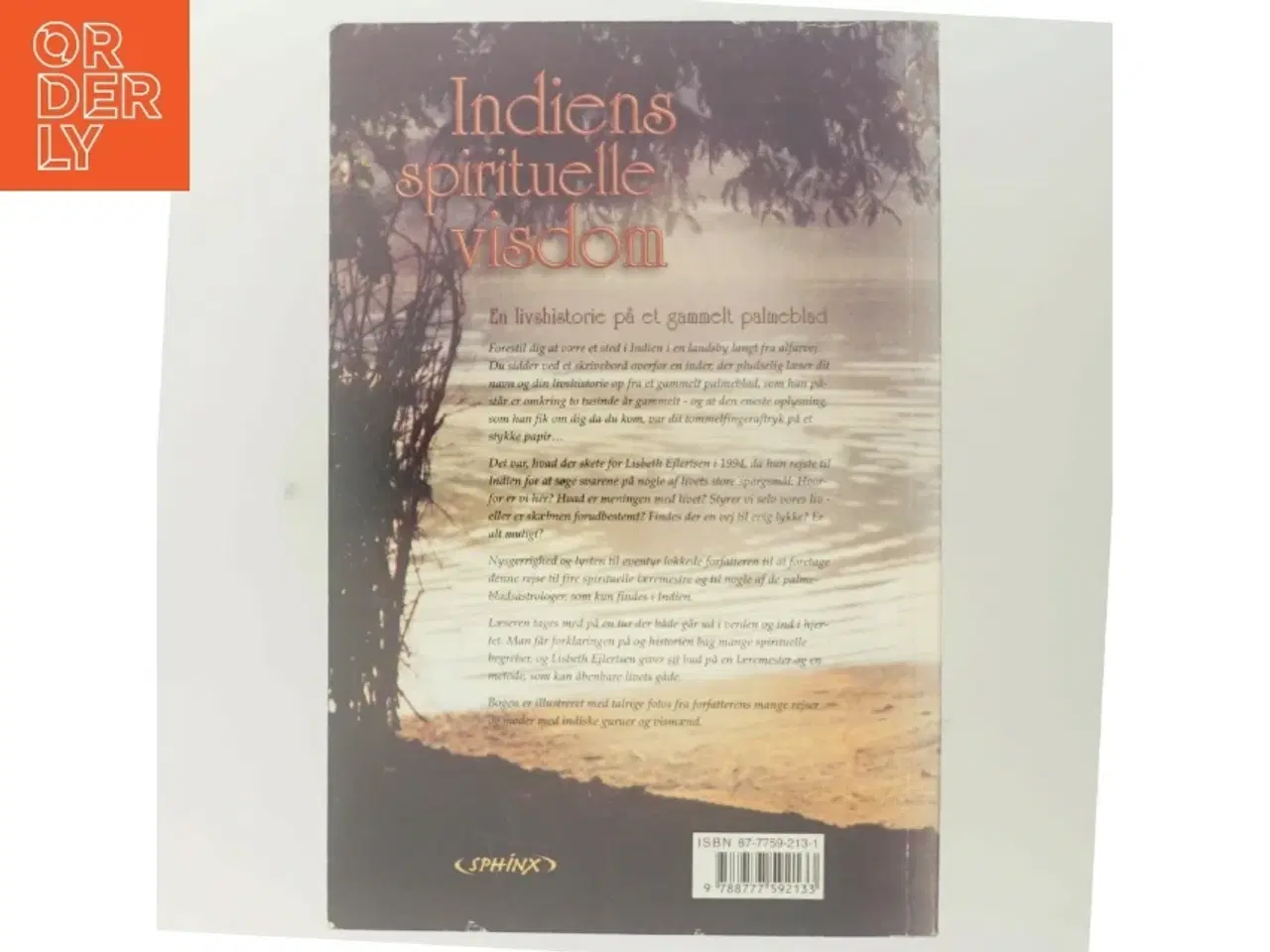 Billede 3 - Indiens spirituelle visdom. Nyt bind 1, Om at søge efter lykken og sandheden om livet hos indiske guruer og palmebladsastrologer af Lisbeth Ejler