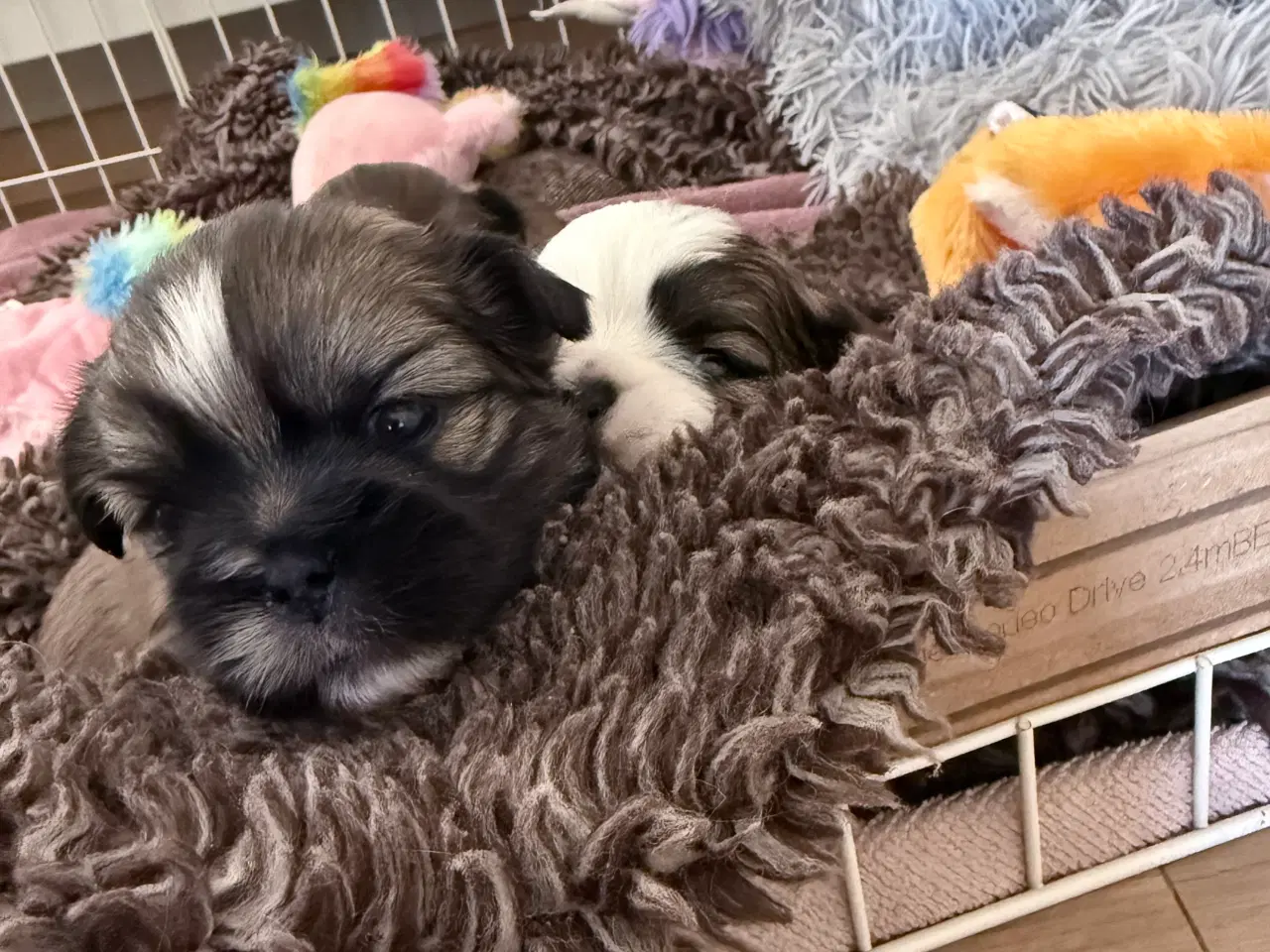 Billede 5 - Allergi venlige bomulds blandinger