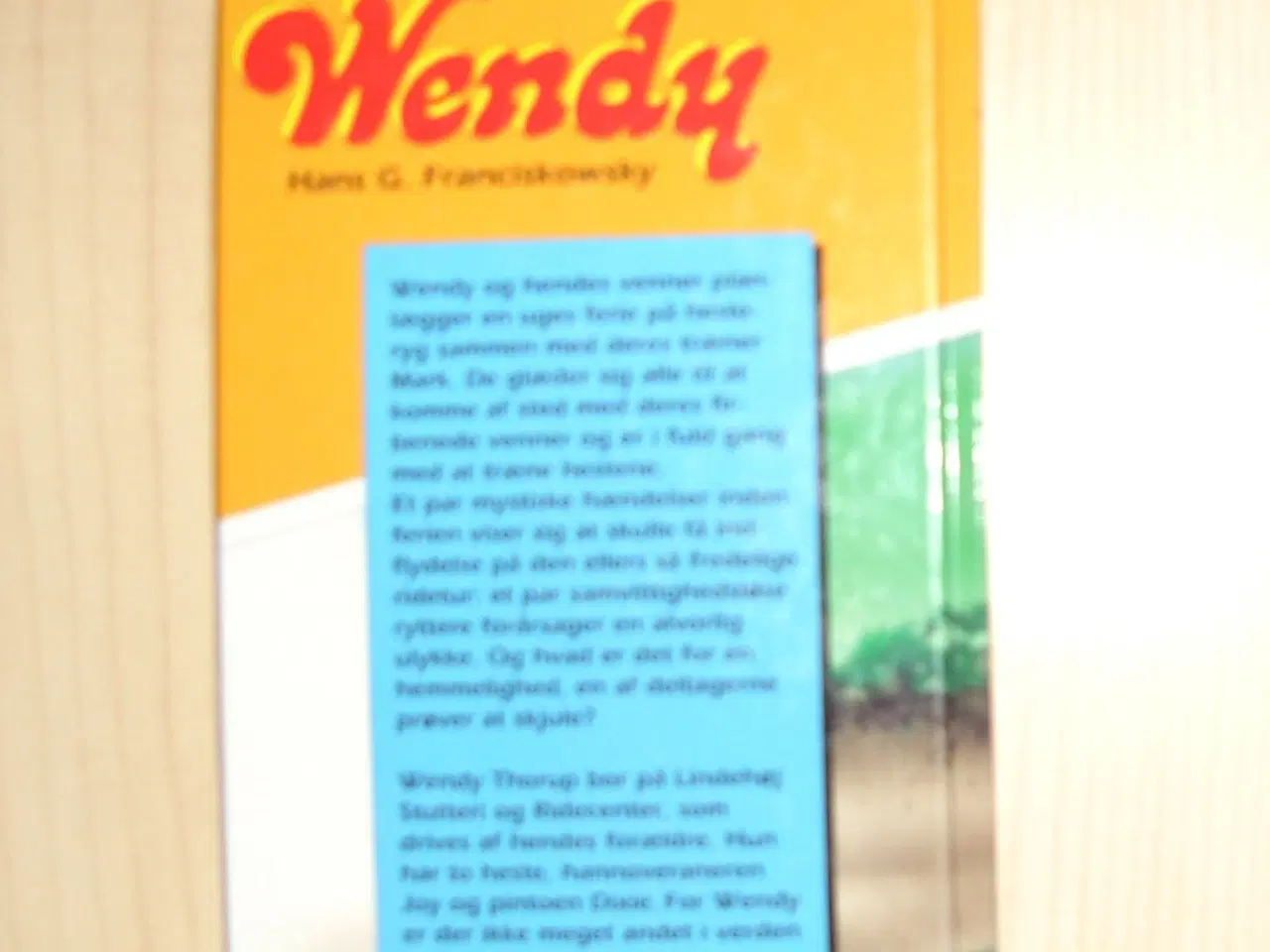 Billede 2 - Wendy bog