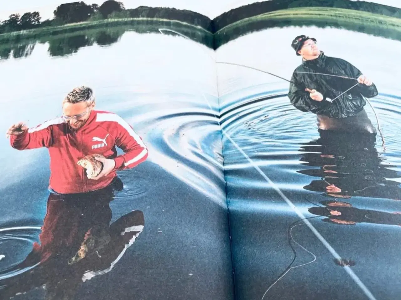 Billede 4 - Mand eller kylling god kogebog 