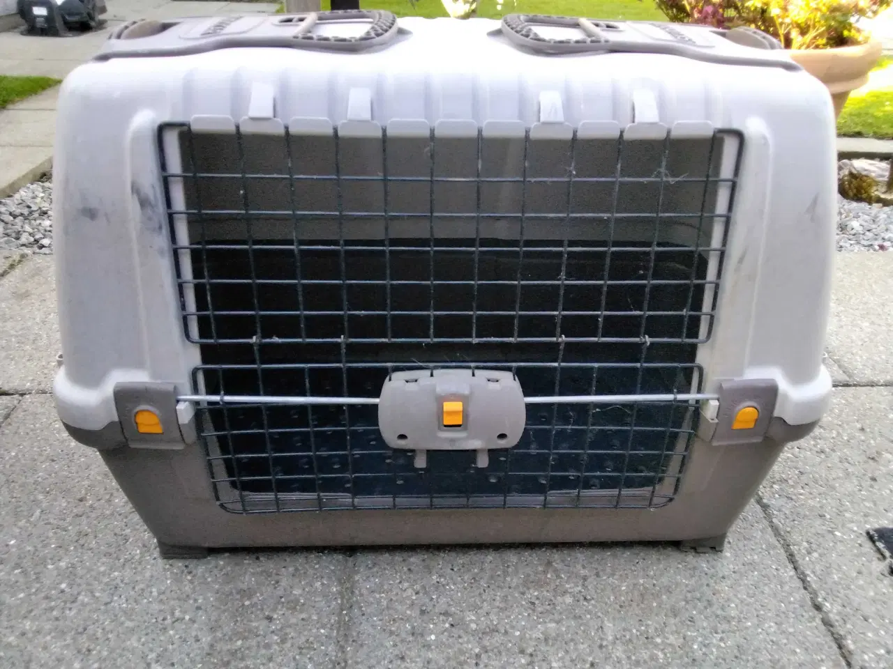 Billede 1 - Transport bur til mellem store hunde 