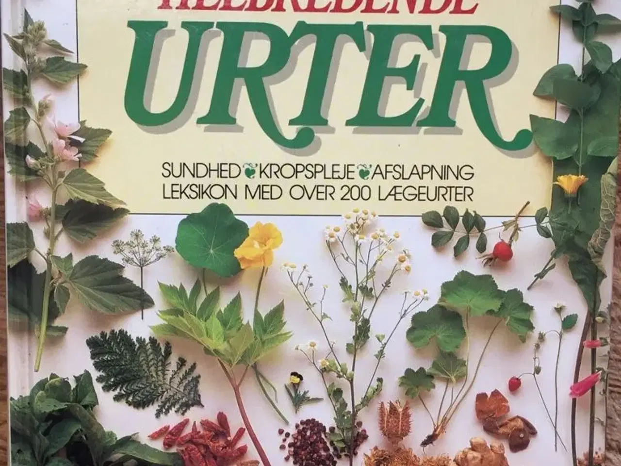 Billede 1 - HELBREDENDE URTER - 200+ lægeurter