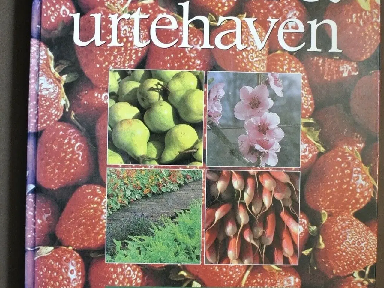 Billede 1 - køkken- og urtehaven , af anna pavord, emne: hus o