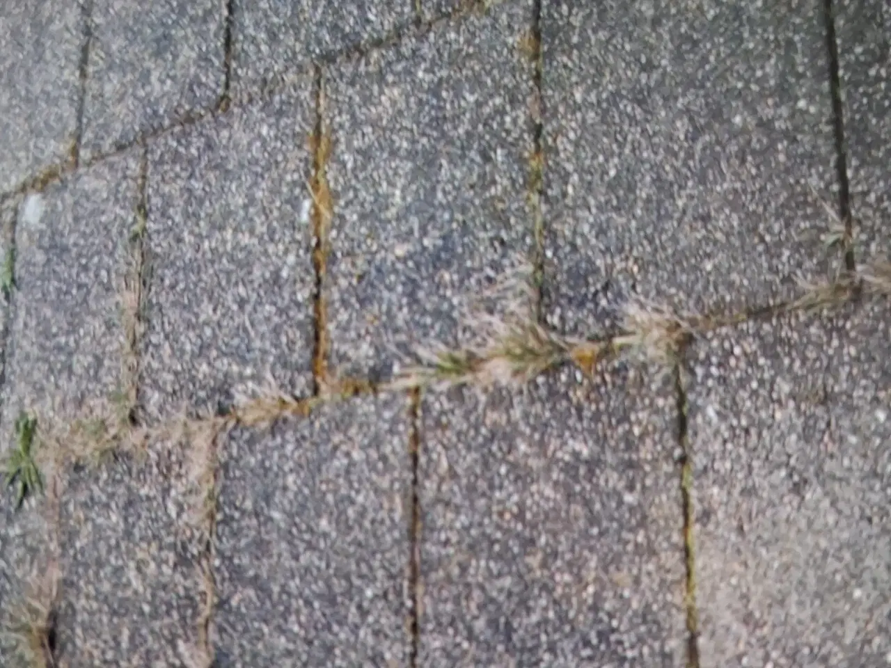 Billede 1 - Flise ca 20 kvm