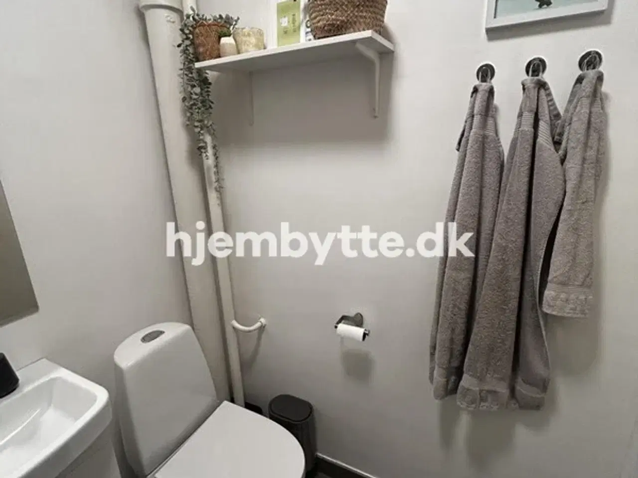 Billede 10 - Hjembytte - Kingosvej