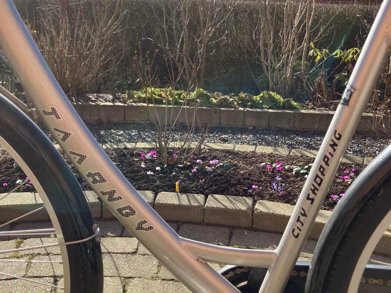 Billede 3 - Velkørende damecykel 