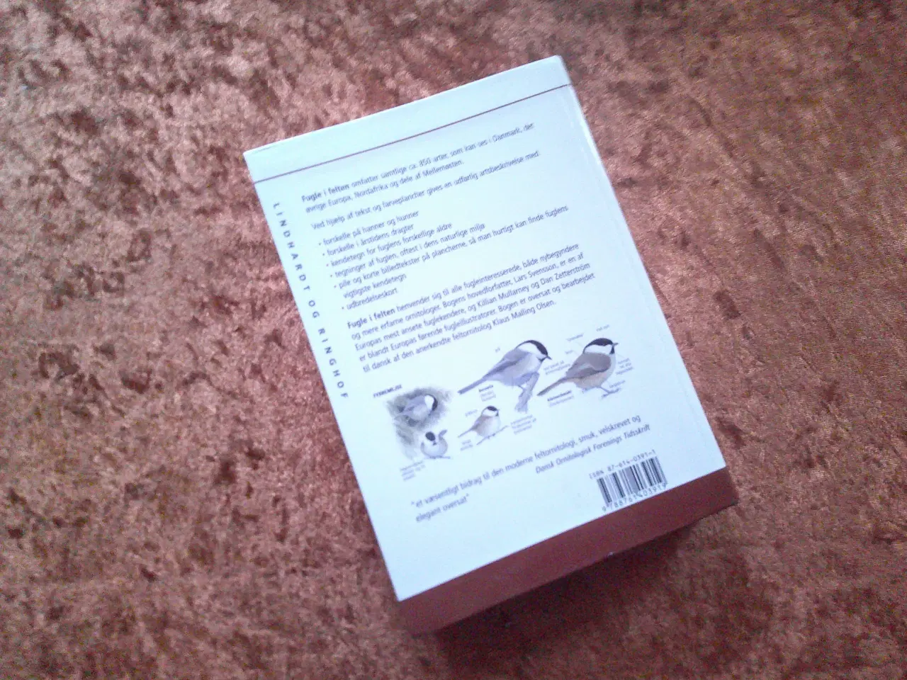 Billede 4 - Fugle i felten, Lars Svensson, Killian Mullarney, 