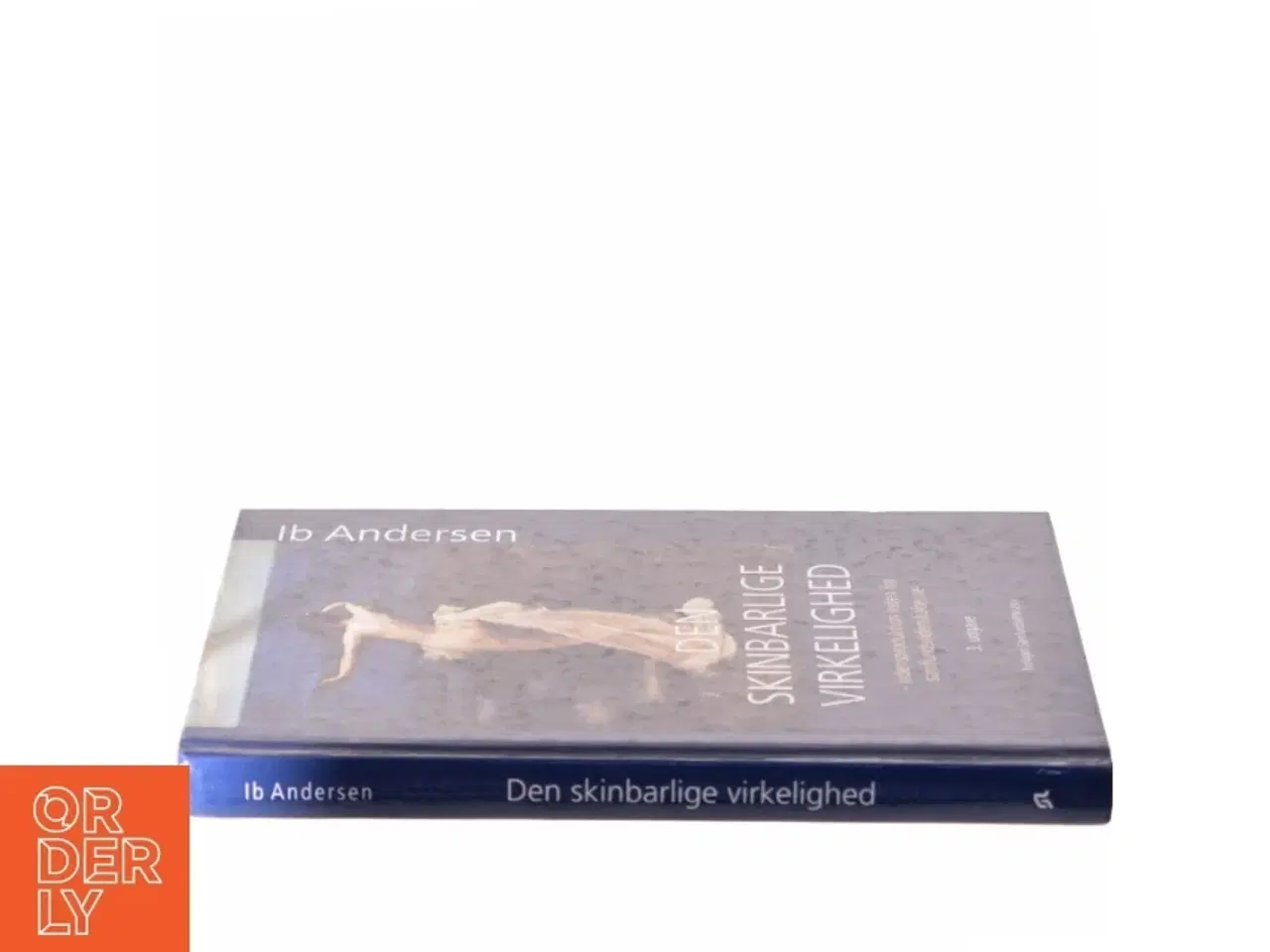 Billede 2 - Den skinbarlige virkelighed af Ib Andersen (f. 1943) (Bog)