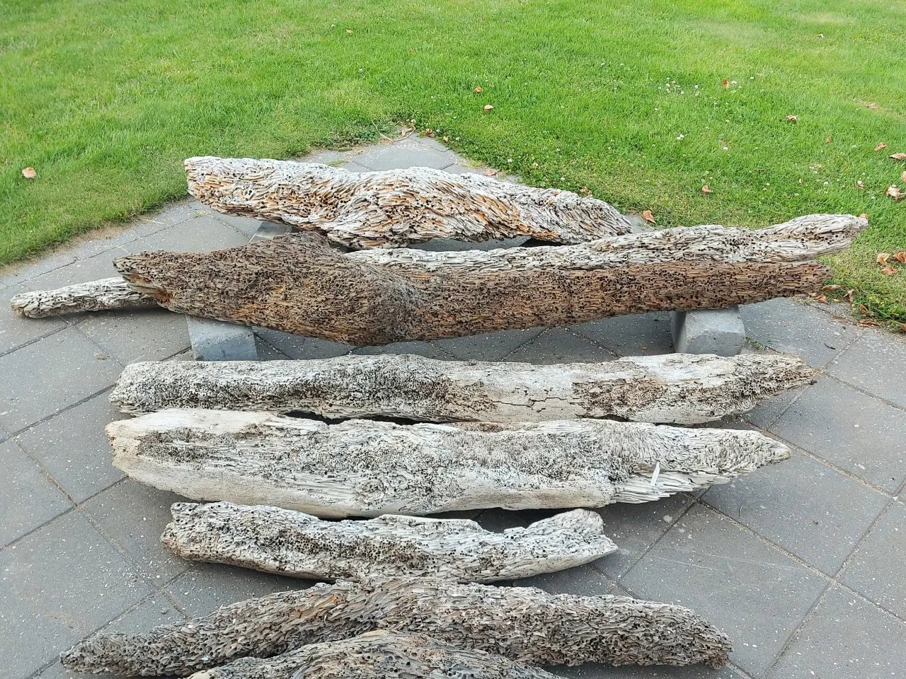 Billede 9 - Drivtømmer 