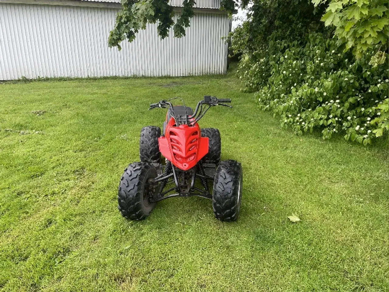 Billede 1 - Bashan 110cc Atv