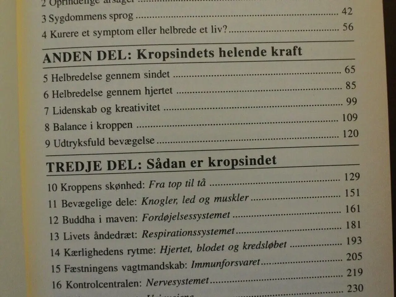 Billede 2 - din krop spejler dit sind, af debbie shapiro, emne