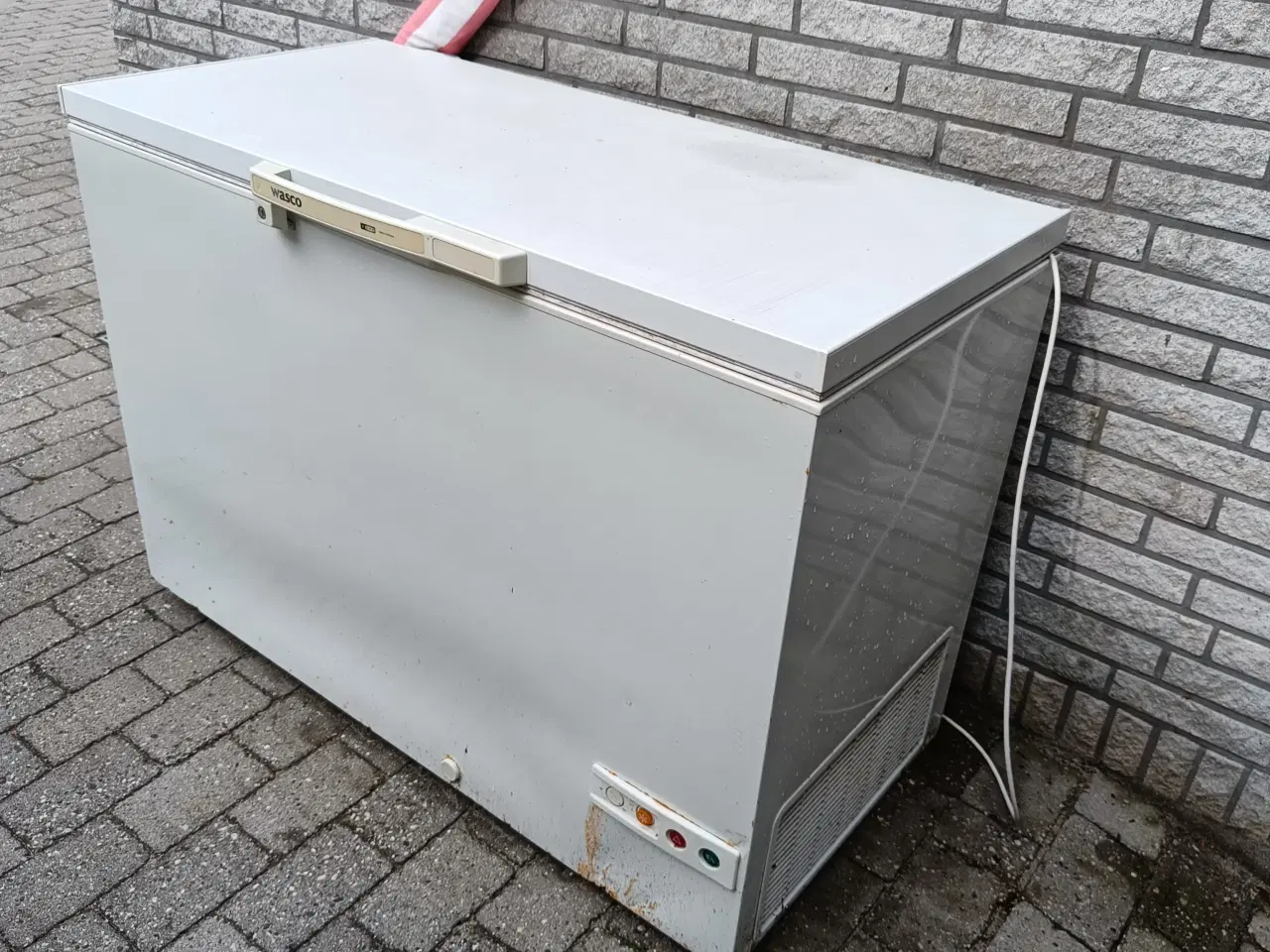 Billede 1 - Stor kummefryser 