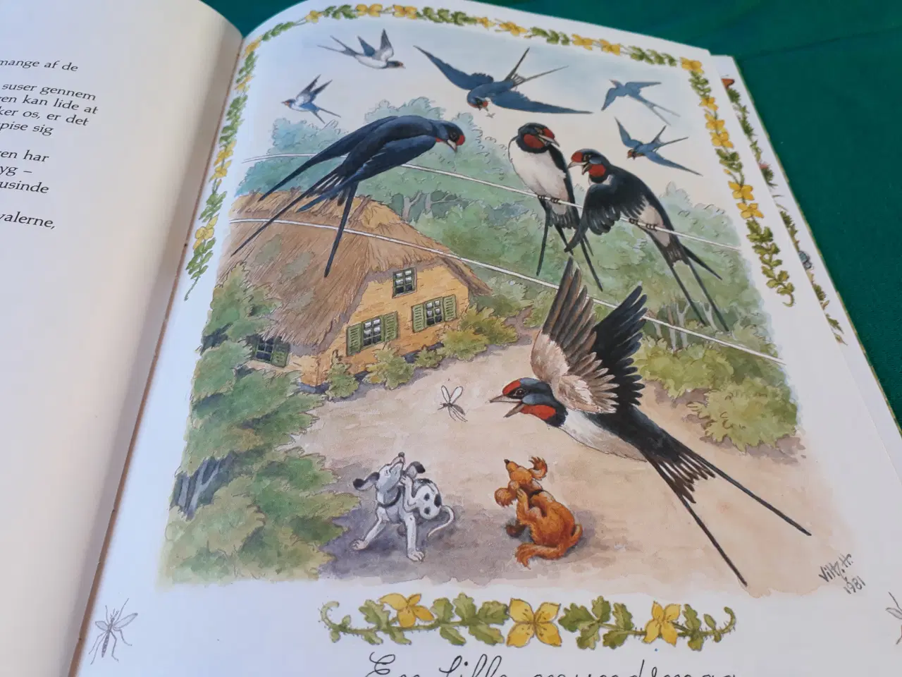 Billede 7 - Carla og Vilh. Hansen Bog