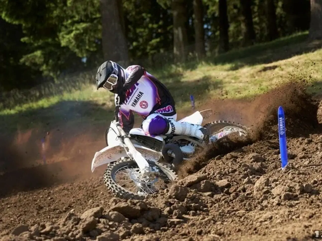 Billede 10 - Yamaha YZ 250 F 50th Anniversary Edition