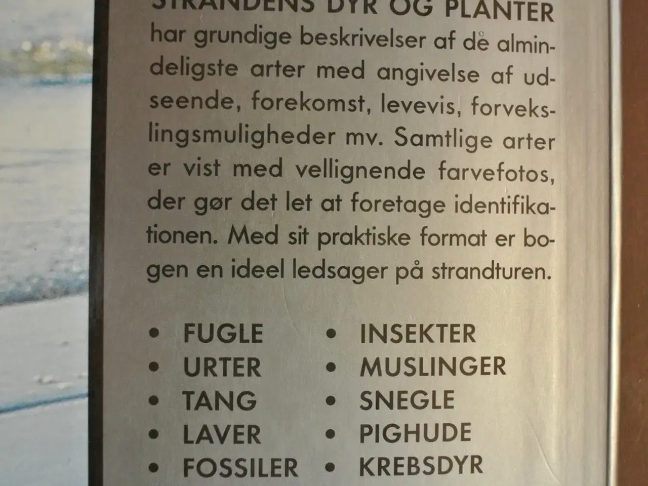 Billede 3 - strandens dyr og planter. 1997, Af tommy dybbro, e