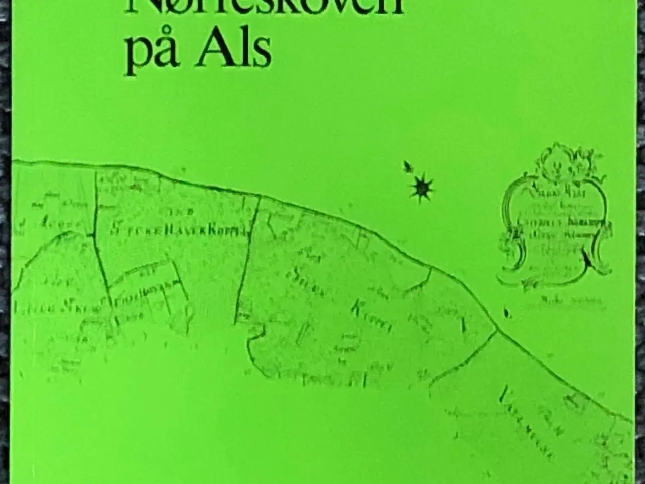 Billede 1 - Nørreskoven på Als, 1992