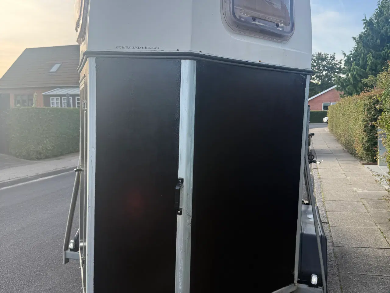 Billede 3 - Humbaur Blacky NYSYNET hestetrailer