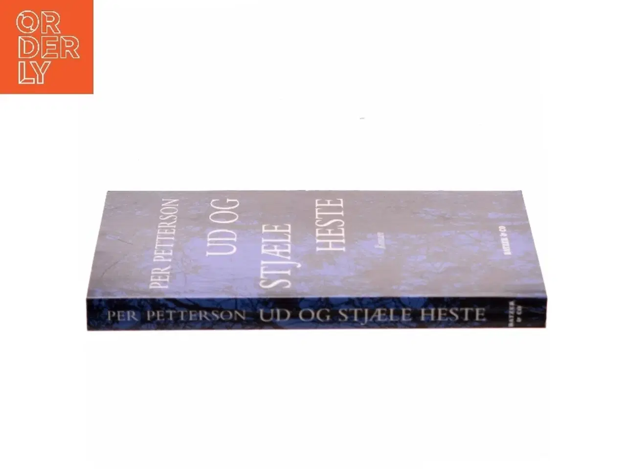 Billede 2 - Ud og stjæle heste : roman af Per Petterson (Bog)