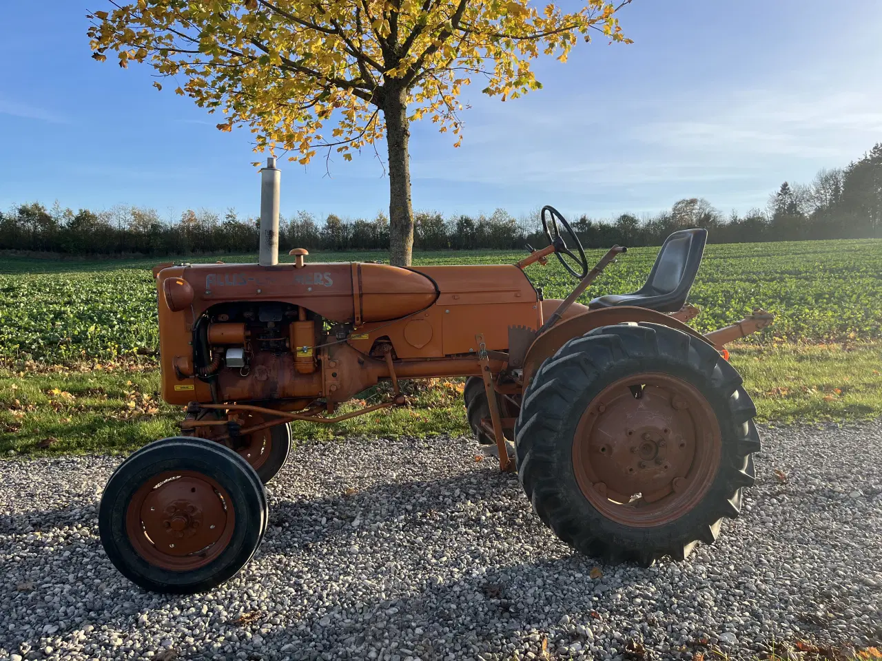 Billede 7 - Allis Chalmers D270