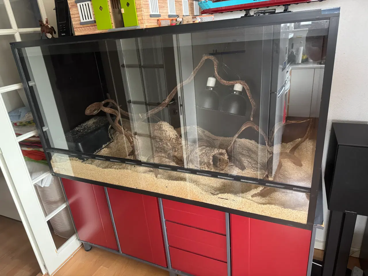 Billede 2 - STORT terrarium sælges