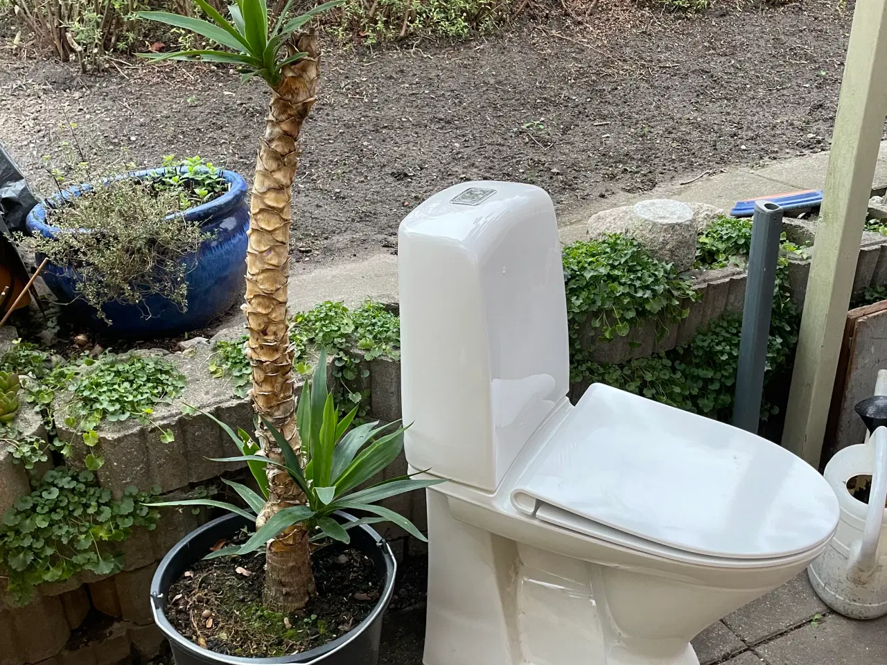 Billede 2 - Toiletsæde