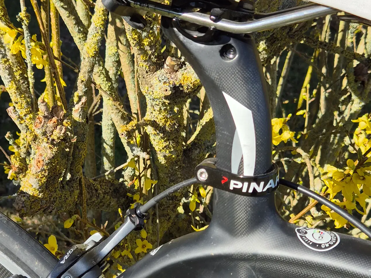 Billede 5 - Racercykel Carbon replica