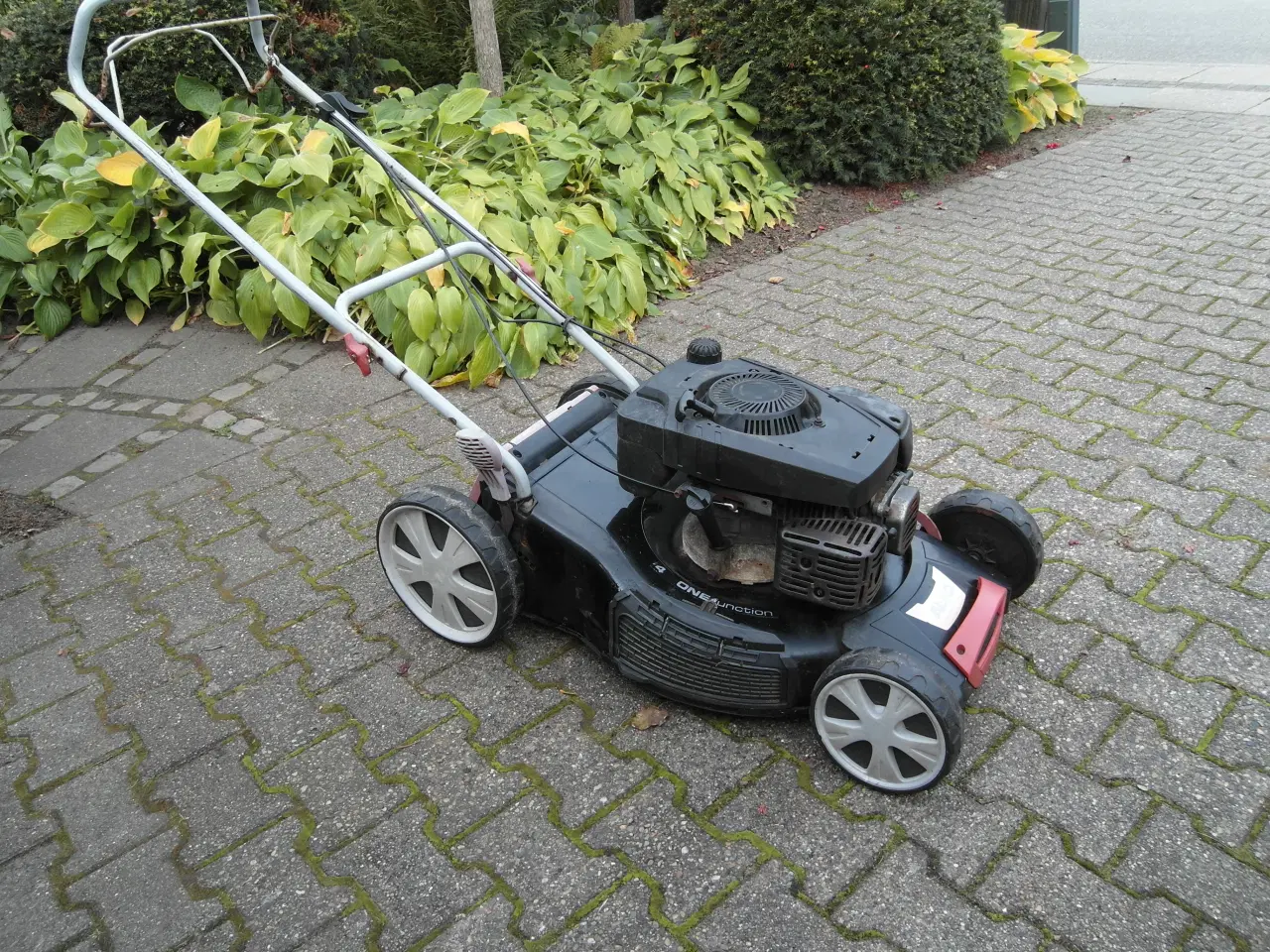 Billede 1 - Plæneklipper Al-ko