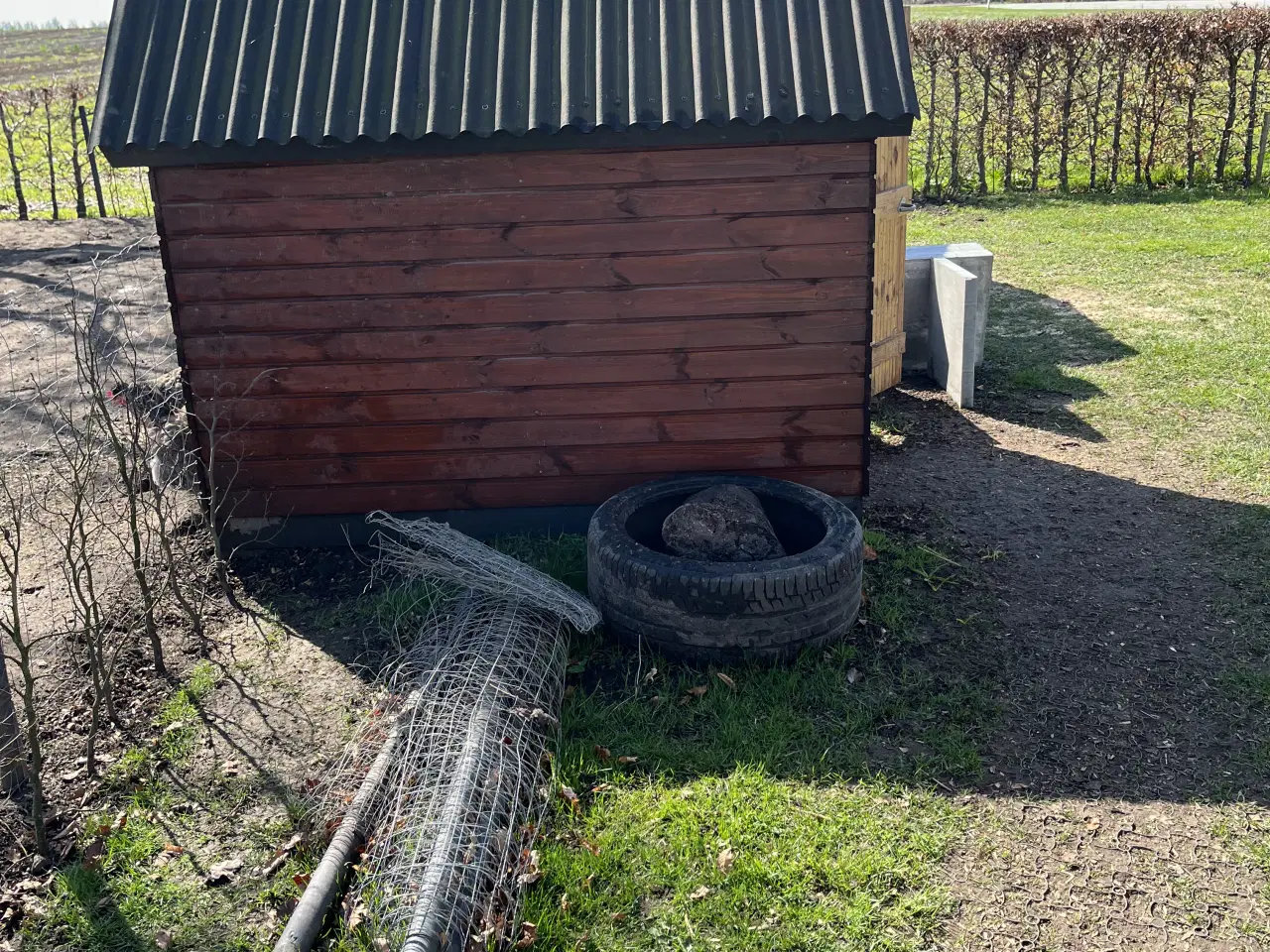 Billede 4 - Hønse hus 
