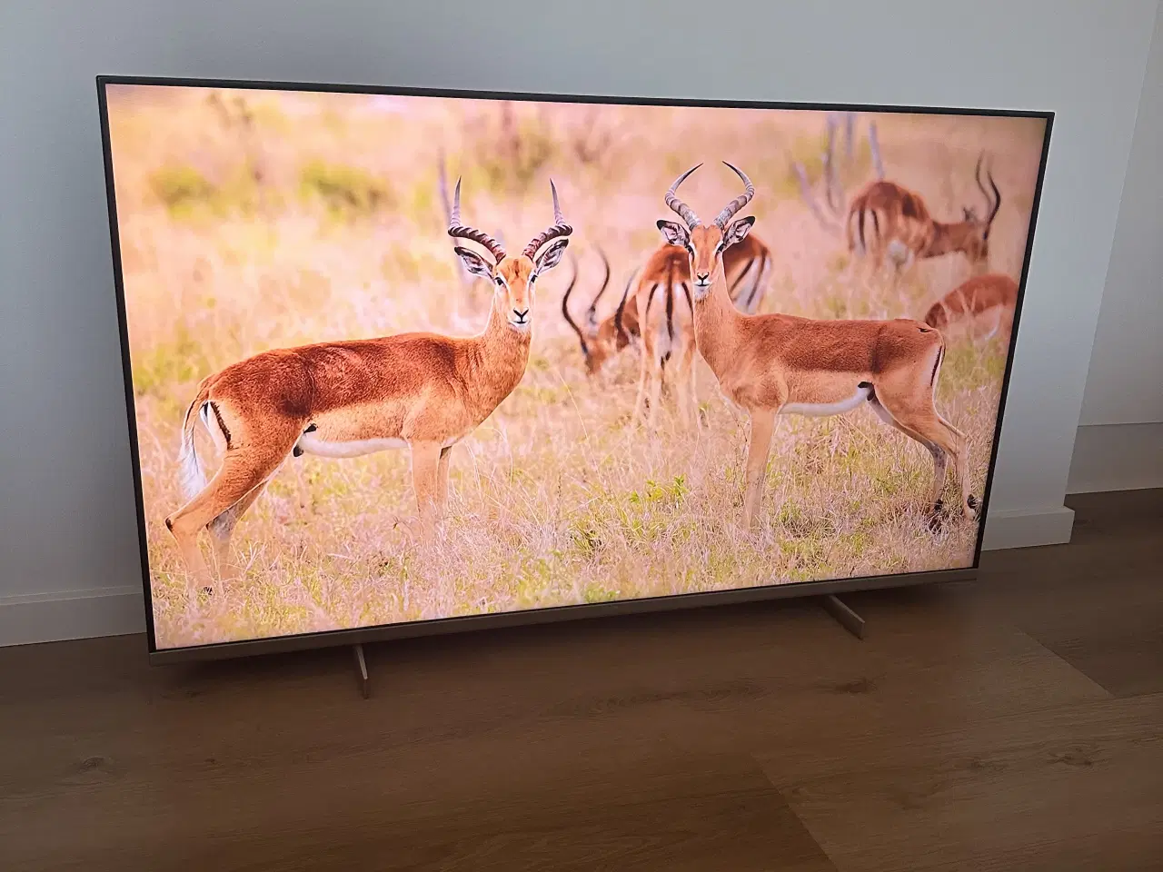 Billede 7 - PHILIPS 55" UHD 4K SMART TV