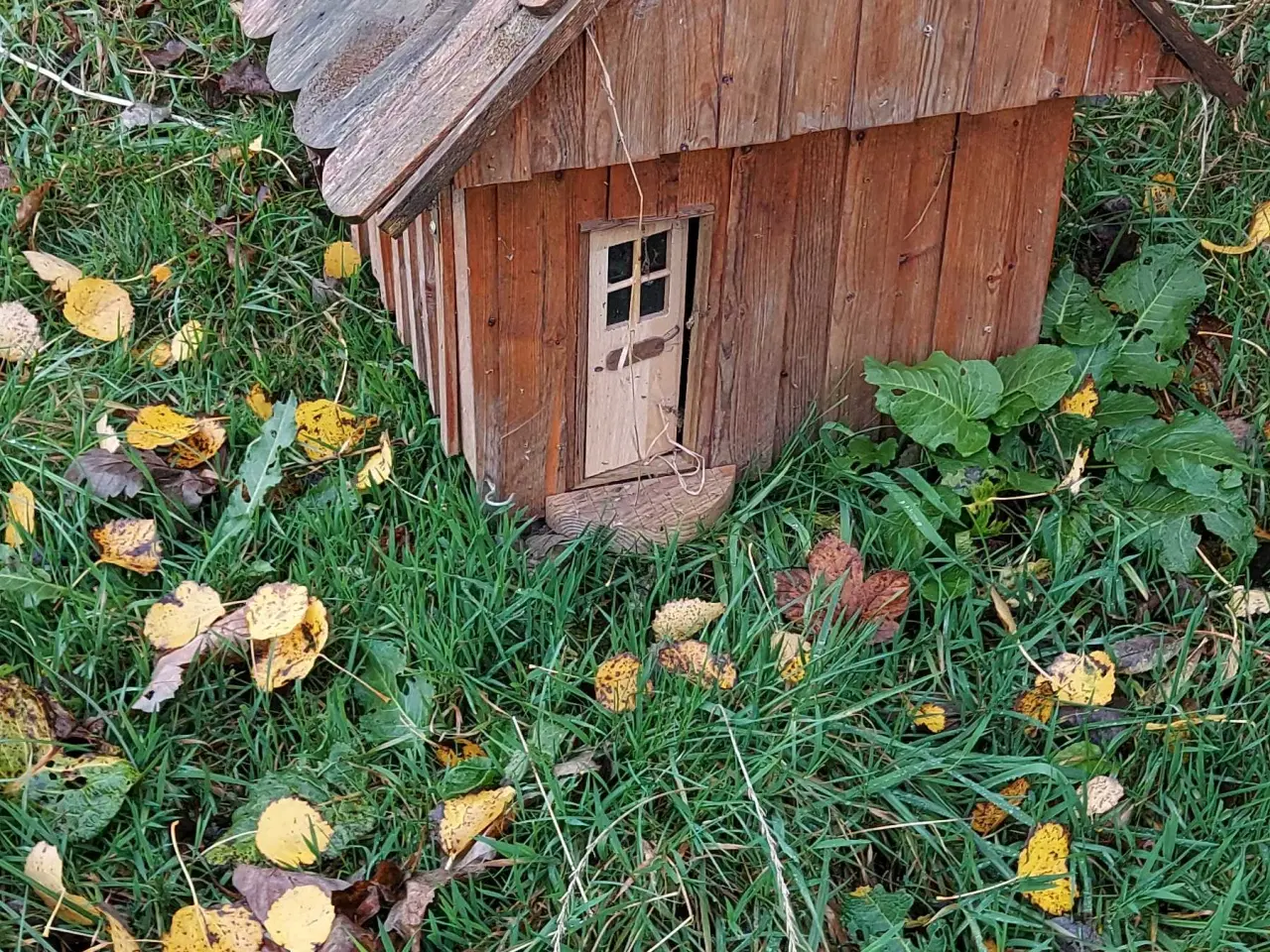 Billede 1 - Træ pynt til haven 