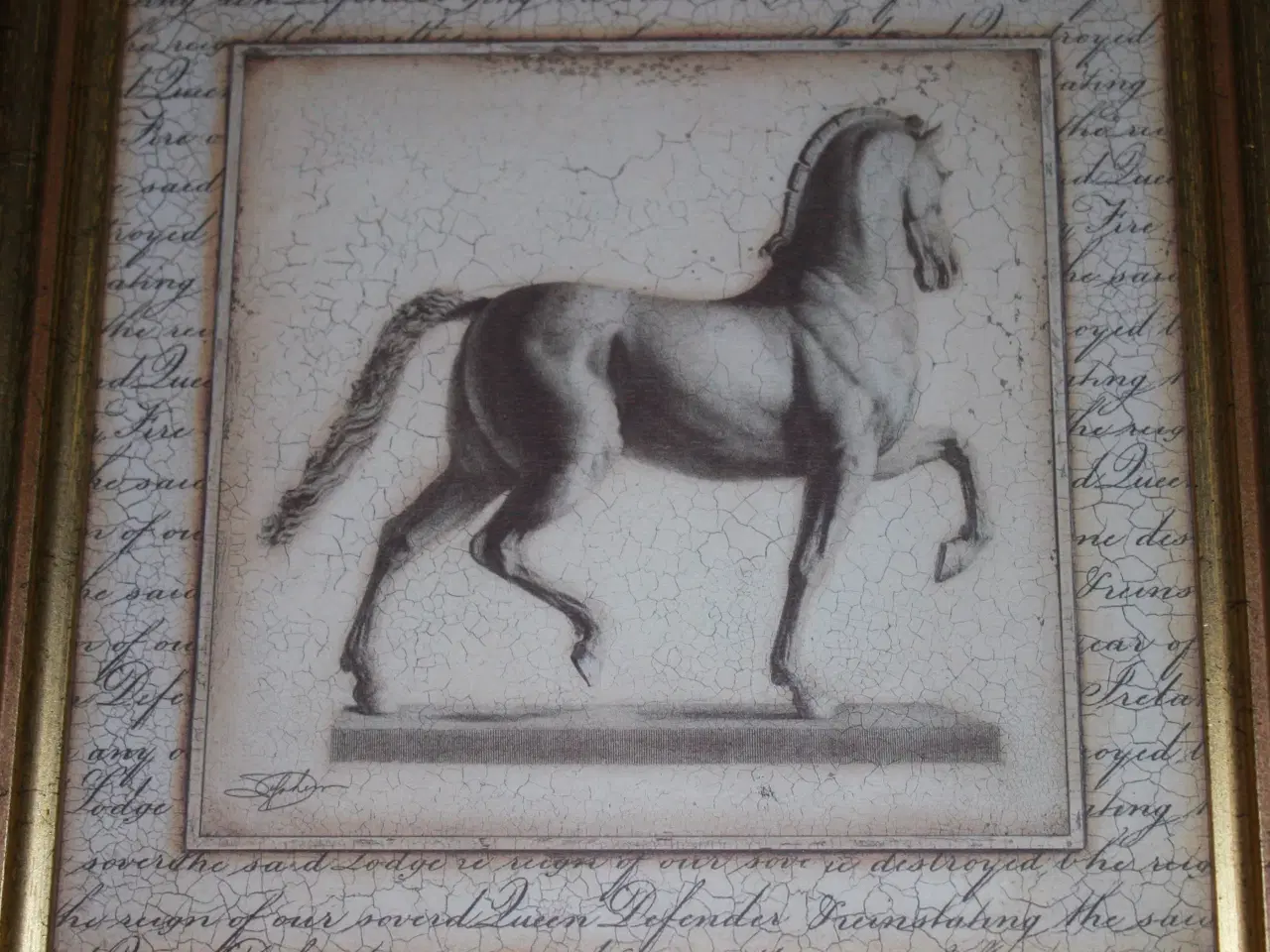 Billede 4 - Billede med hest