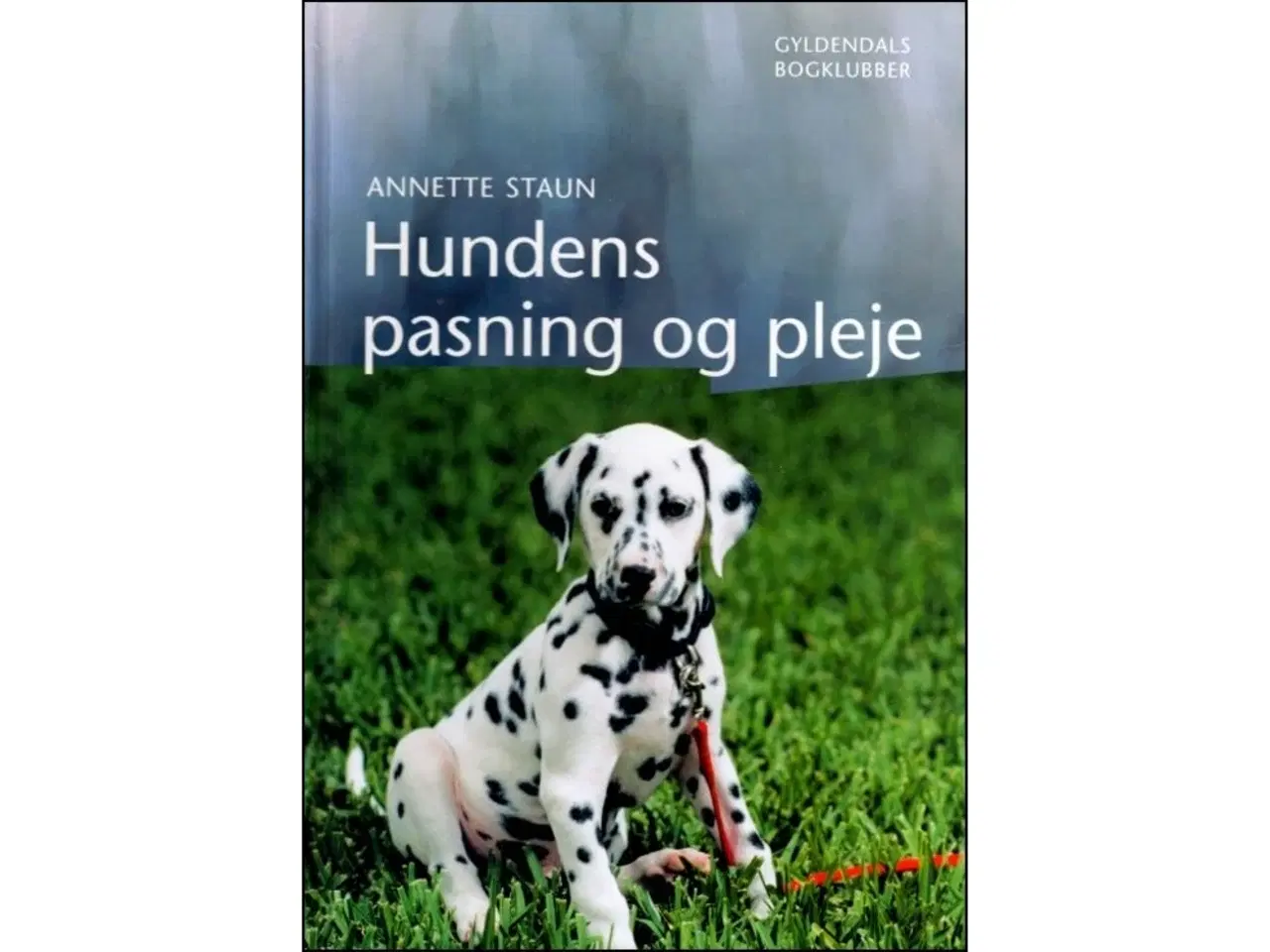 Billede 1 - Hundens pasning og pleje