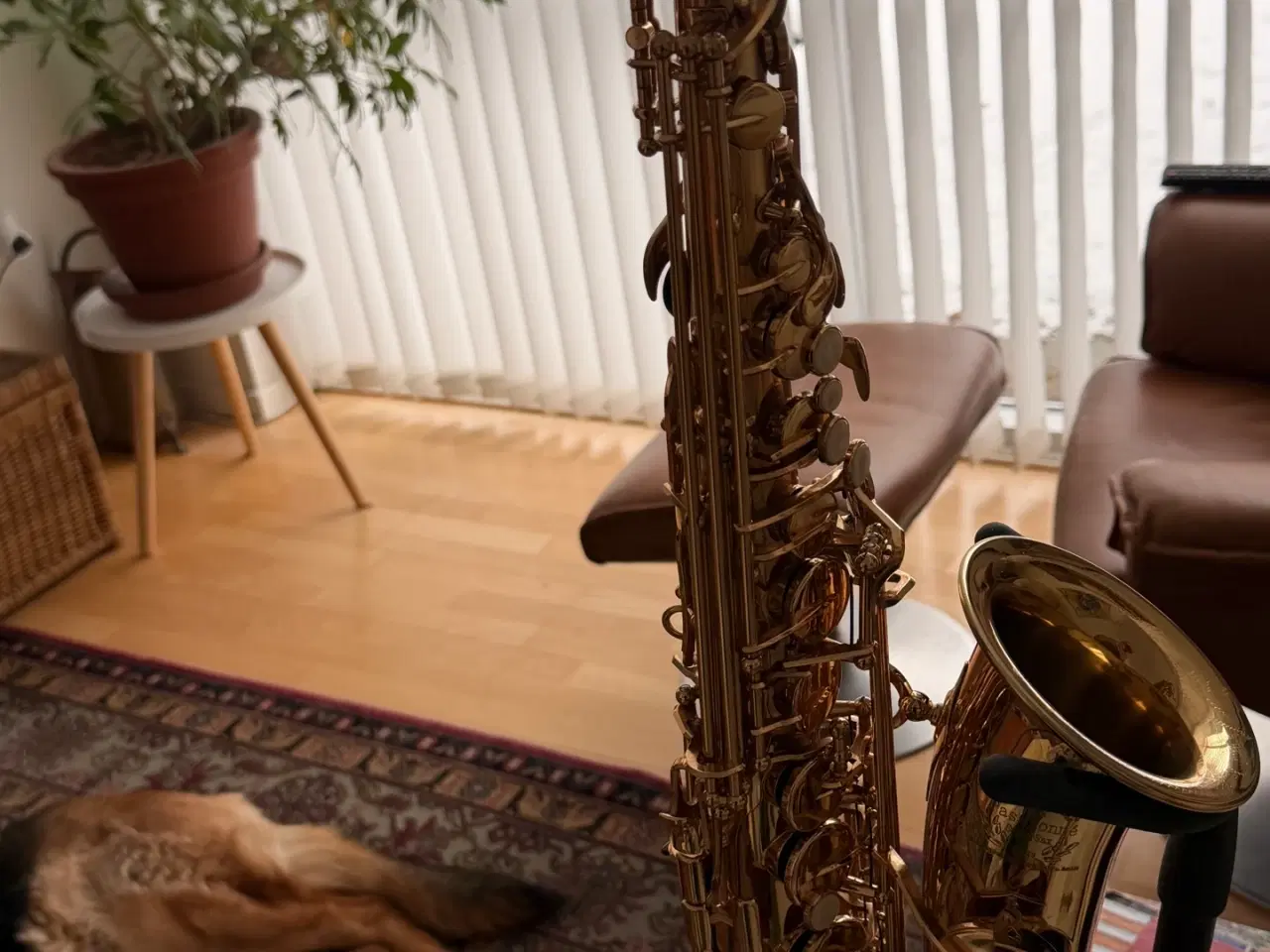 Billede 16 - Passionne PARIS - Alt saxofon, brugt få gange