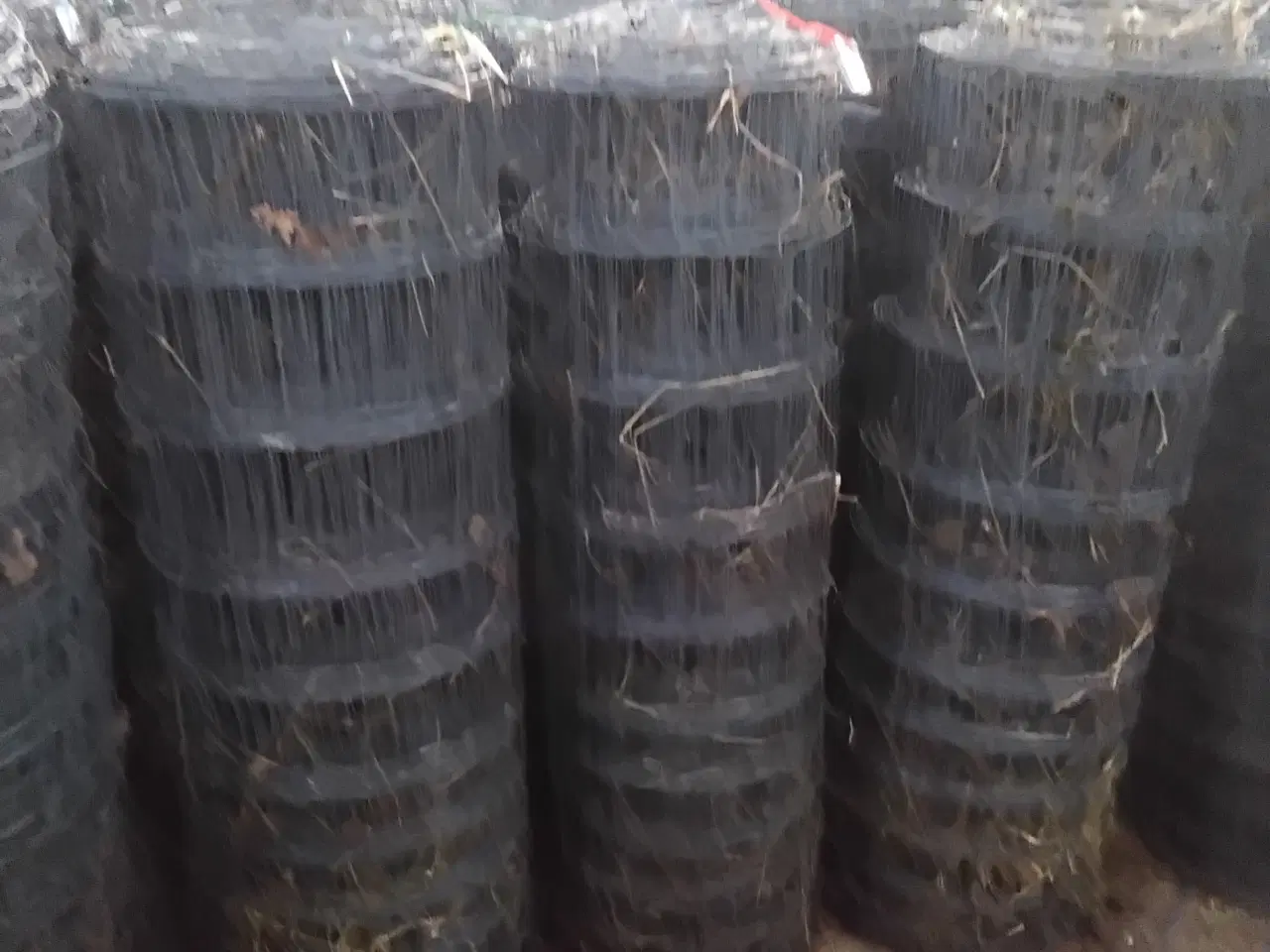 Billede 3 - Vildthegn dyrehegn  hundehegn