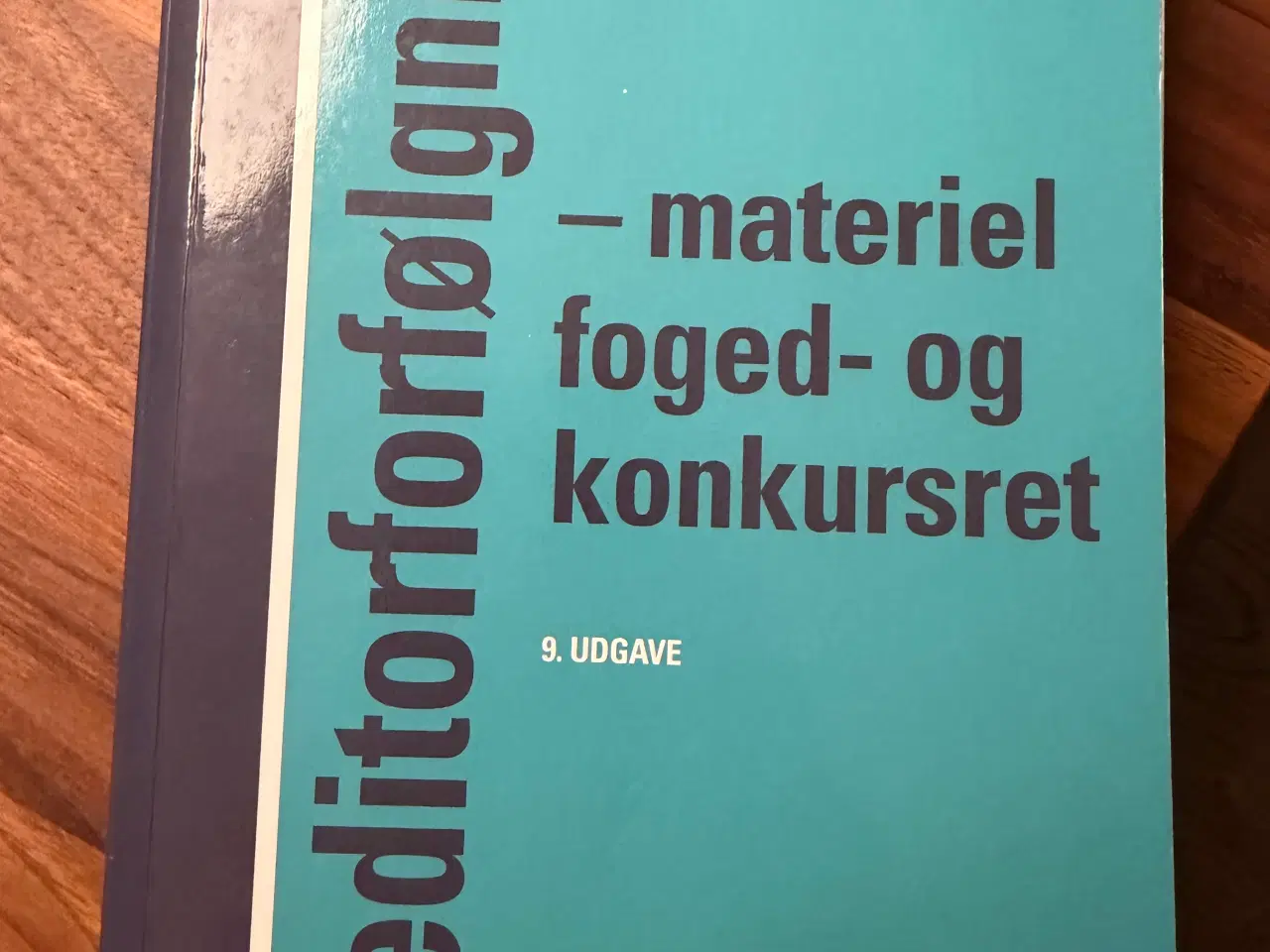 Billede 1 - Kreditorforfølgning, møgelvang-Hansen, jura 