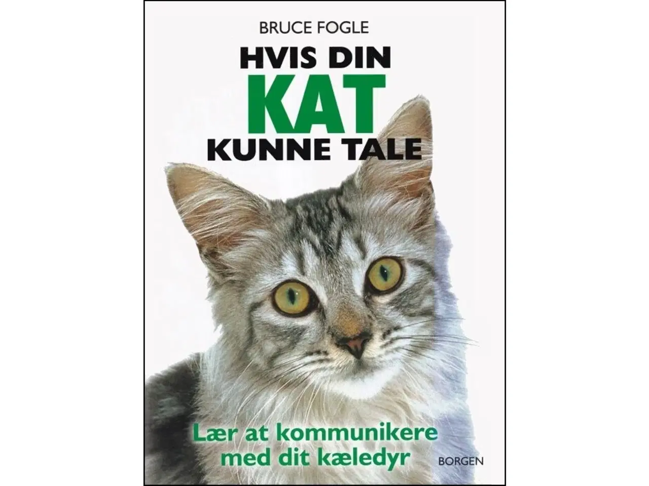 Billede 1 - Hvis din kat kunne tale