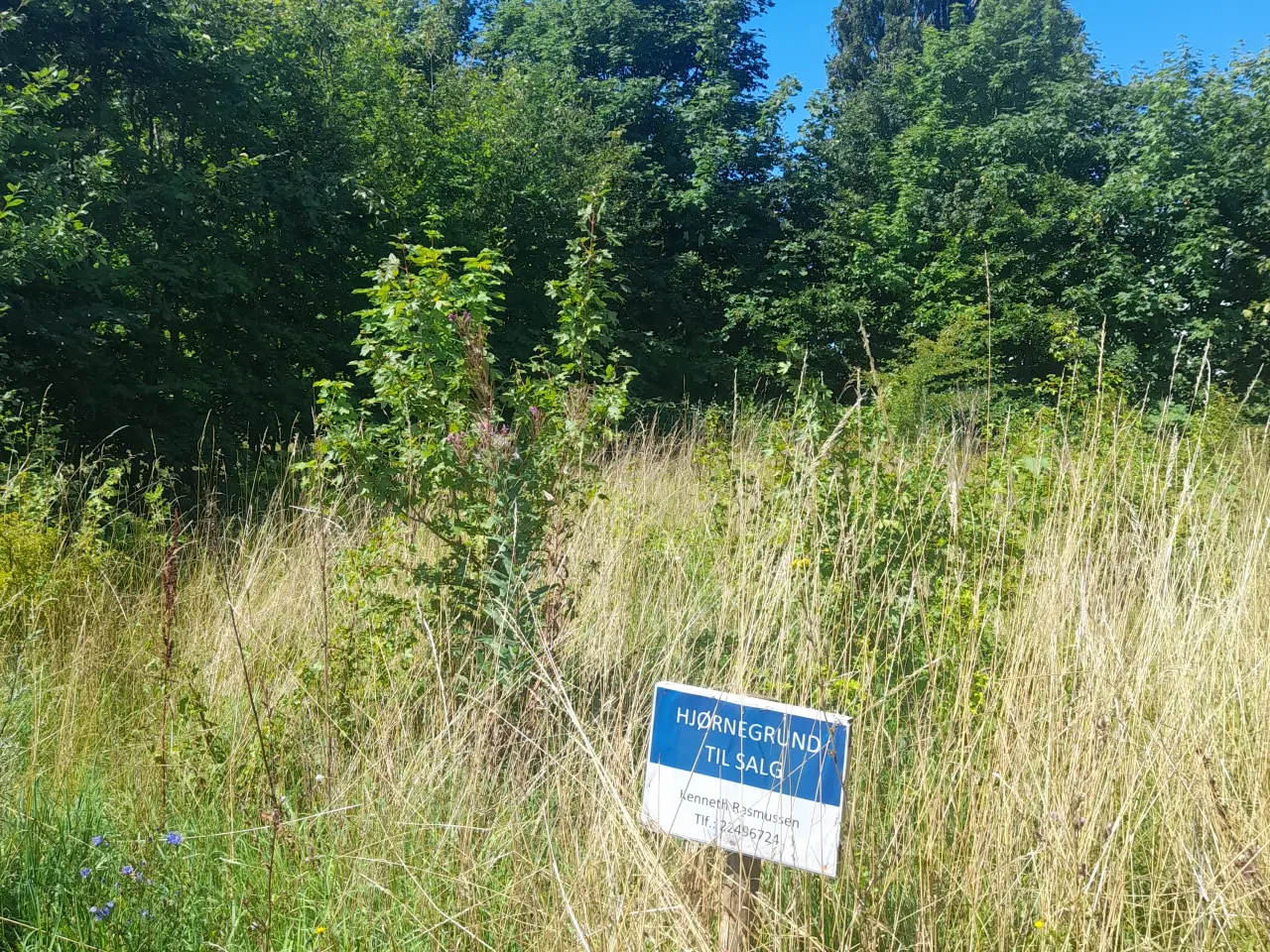 Billede 3 - Bygge grund 