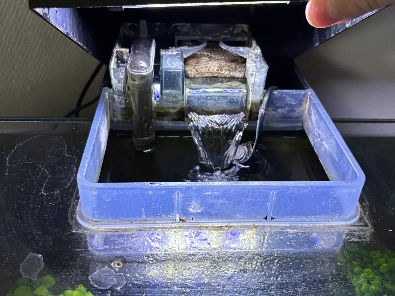 Billede 2 - Fluval edge 23l akvarie