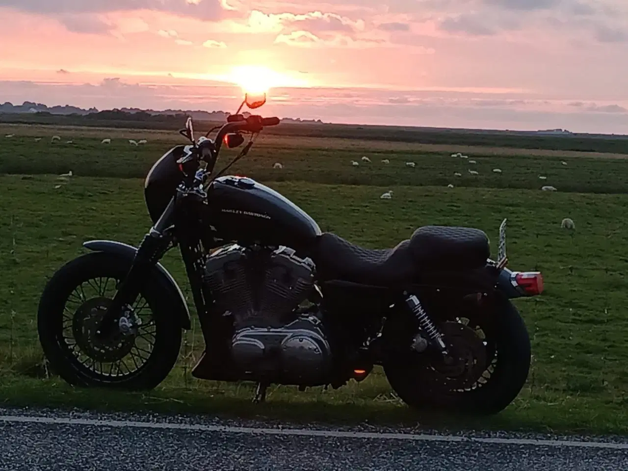 Billede 1 - Harley Sportster fra 2006 + en projekt Harley 