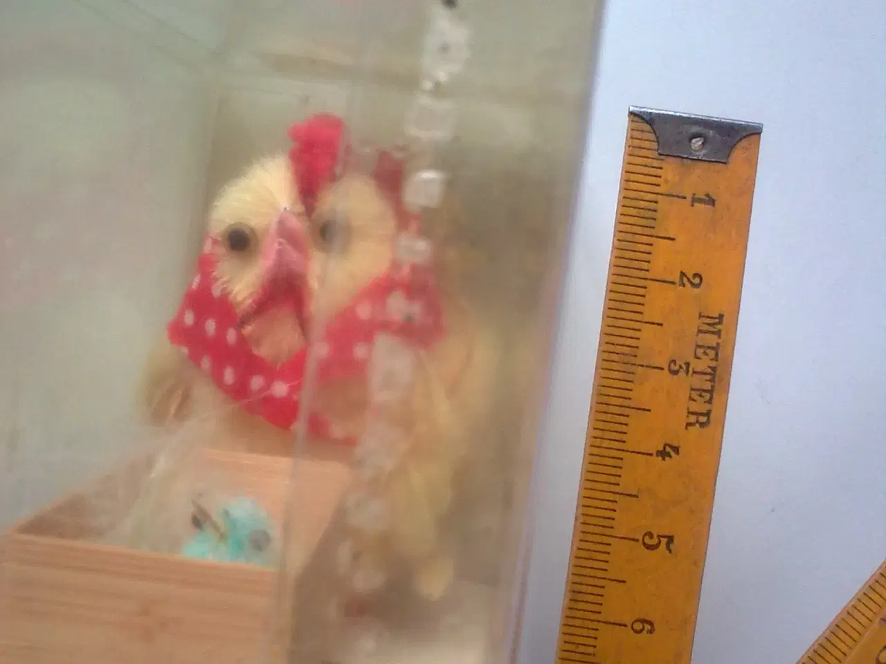 Billede 4 - Hønemor med barnevogn og kyllinger i FIGUR GUL