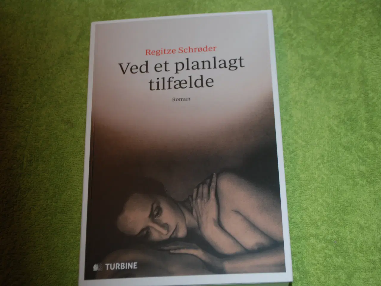 Billede 1 - Ved et planlagt tilfælde, Regitze Schrøder