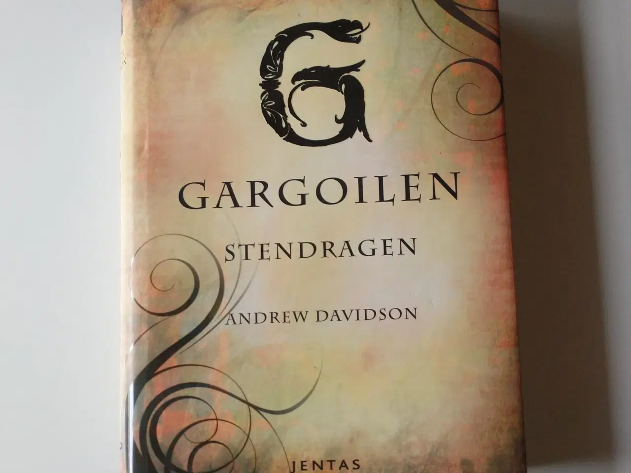 Billede 1 - Gargoilen - stendragen. Af Andrew Davidson