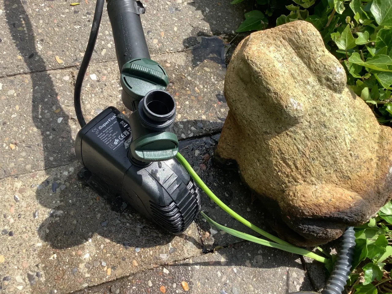 Billede 3 - Springvandsfrø granit