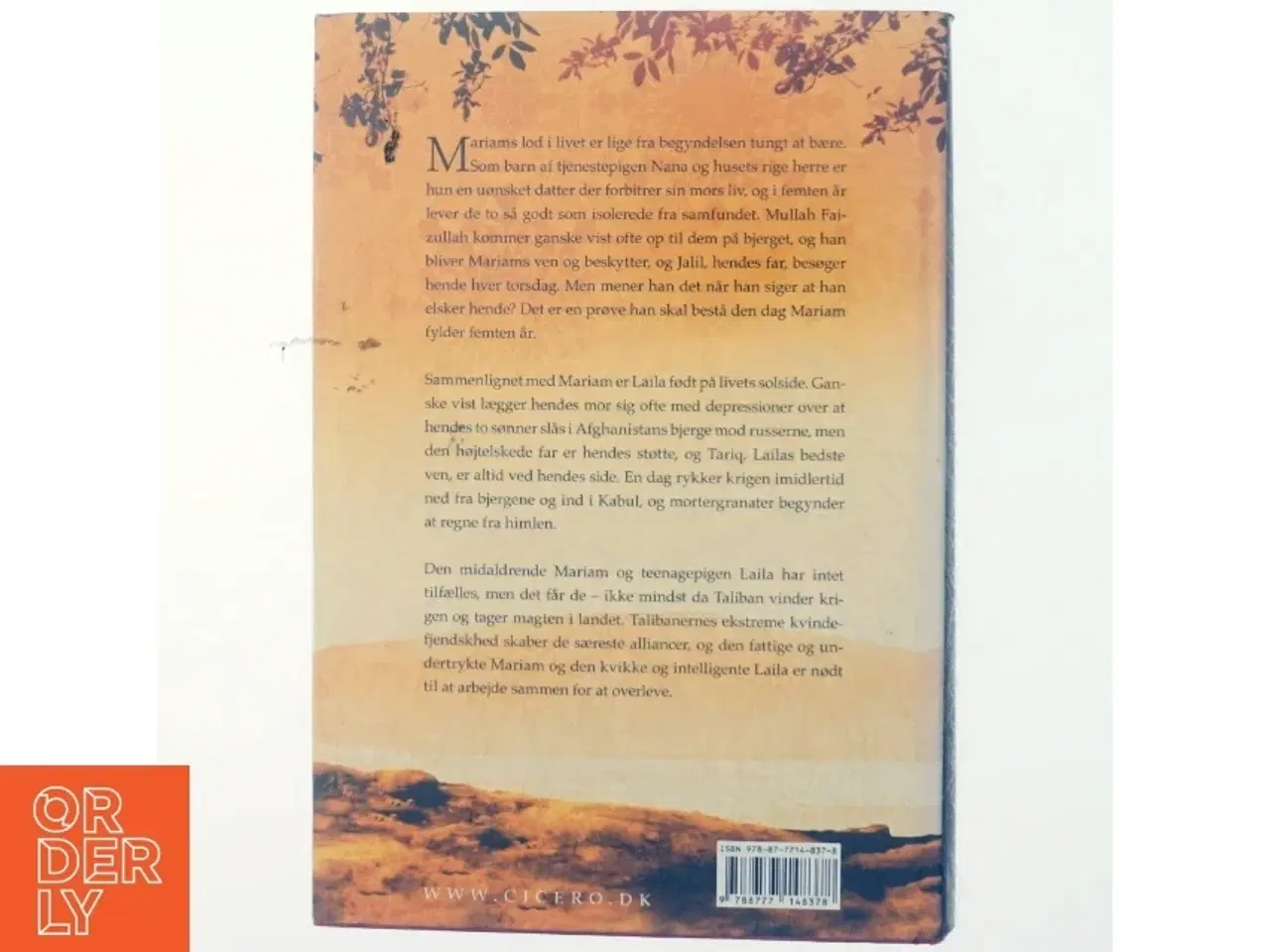 Billede 3 - Under en strålende sol af Khaled Hosseini (Bog)