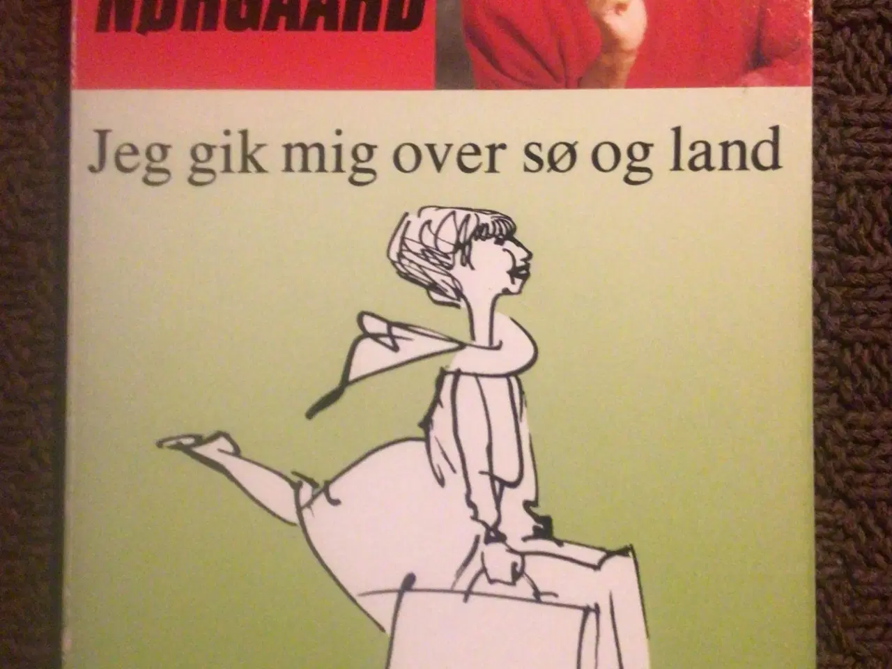 Billede 1 - Lise Nørgaard: Jeg gik mig over sø og land 