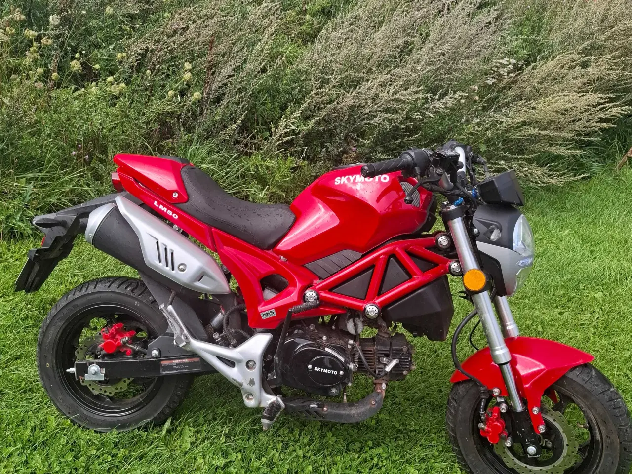 Billede 4 - SKYMOTO littel monster Knallert 30 