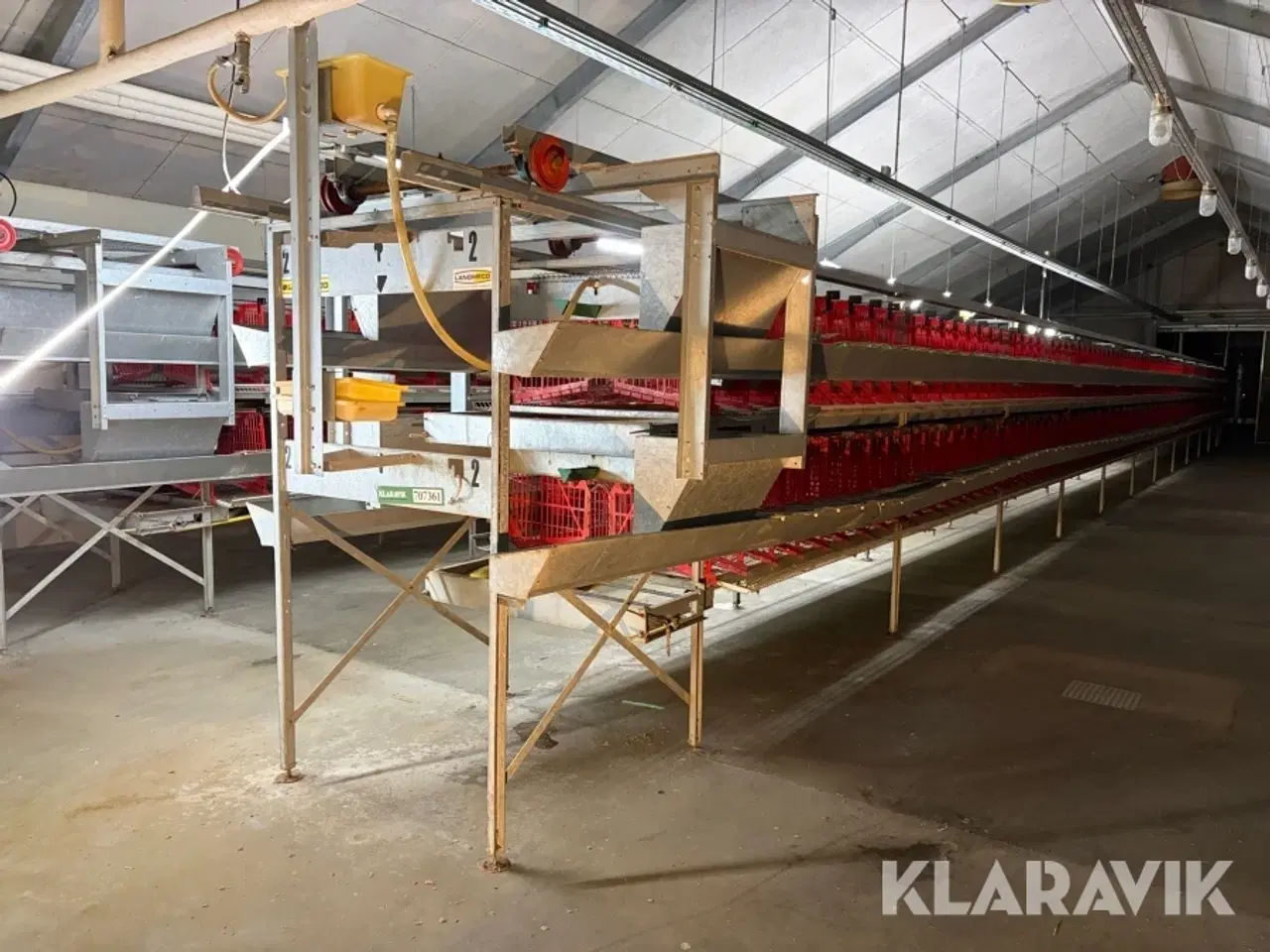 Billede 1 - Produktionslinje Landmeco æglægger system